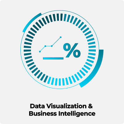 Data Visualization